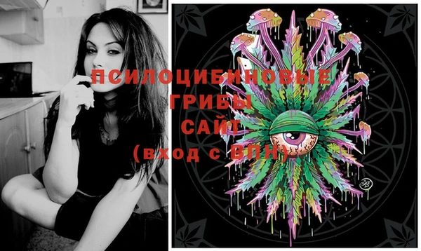 PSILOCYBIN Белокуриха