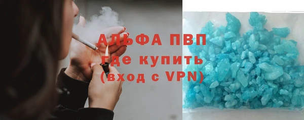 PSILOCYBIN Белокуриха