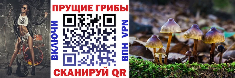 Псилоцибиновые грибы Cubensis  Нижний Новгород 